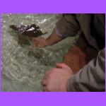Josh Touching Fish 4.jpg